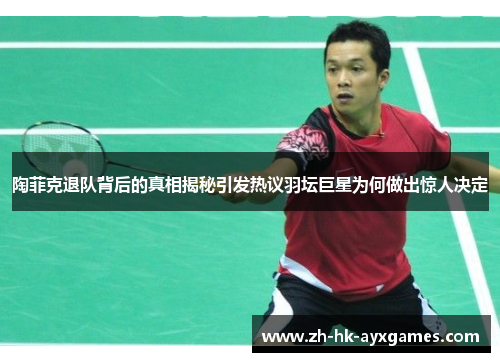 陶菲克退队背后的真相揭秘引发热议羽坛巨星为何做出惊人决定