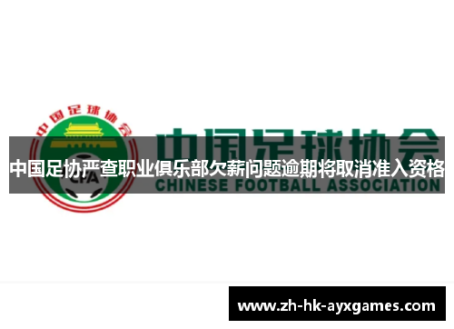 中国足协严查职业俱乐部欠薪问题逾期将取消准入资格
